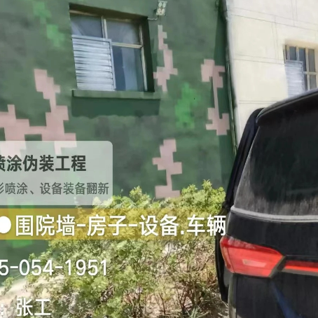 广元数码迷彩漆施工